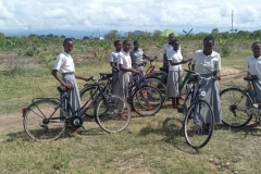 BicycleSupport2