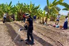VolunteersPractical